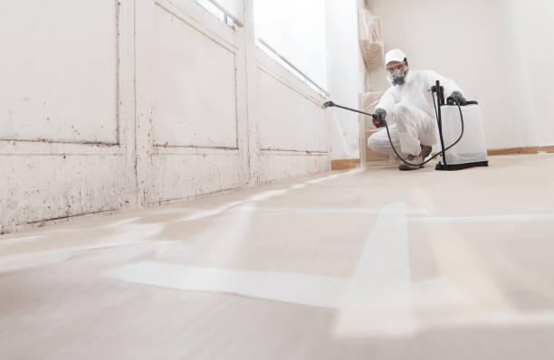 24/7 Emergency Commercial Mold Remediation experts in Clearville, PA